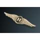 Złoty emblemat skrzydła "H" 2-8
